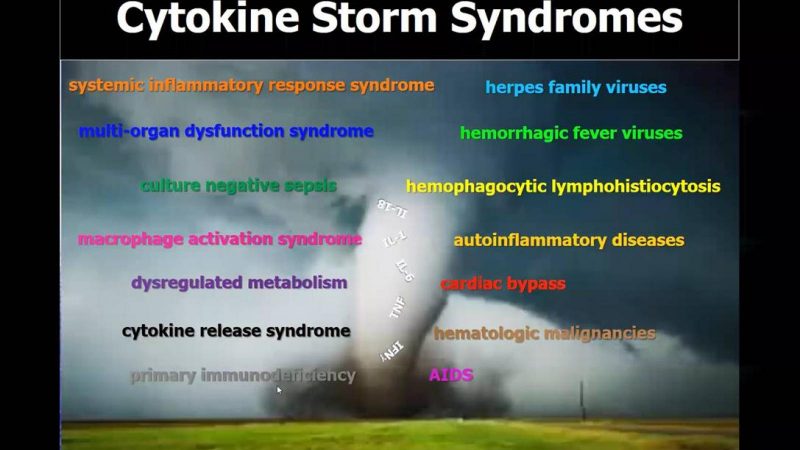 Cytokine-storm.front-end.jpg